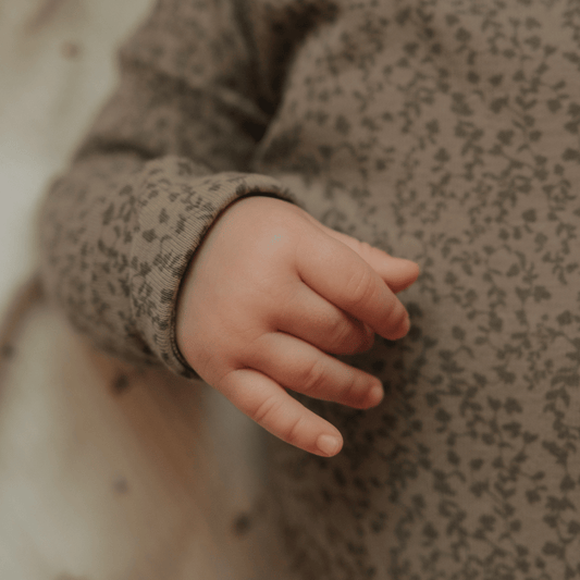 The Baby Jacket - Vine