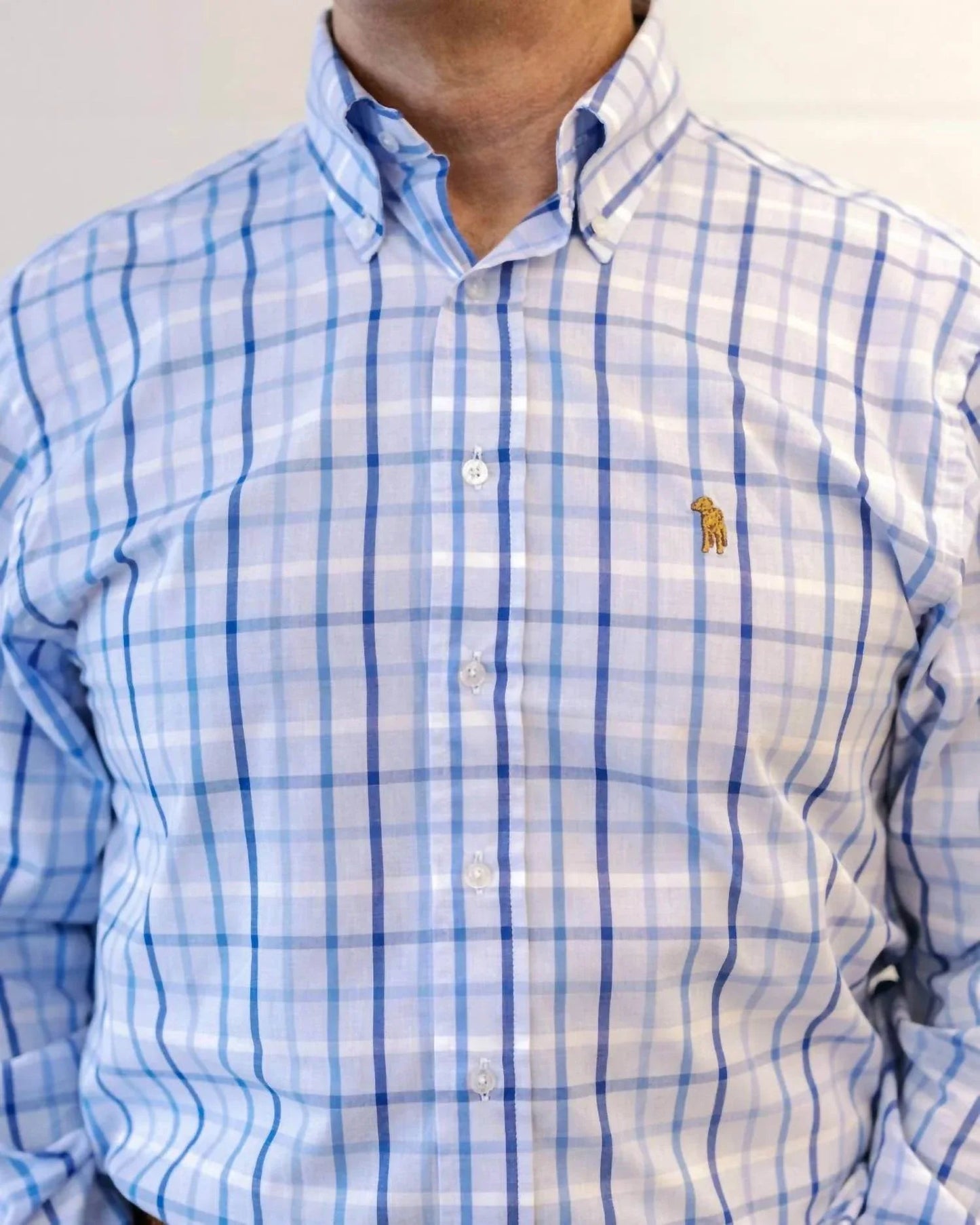 Ridge Check Button Down Shirt