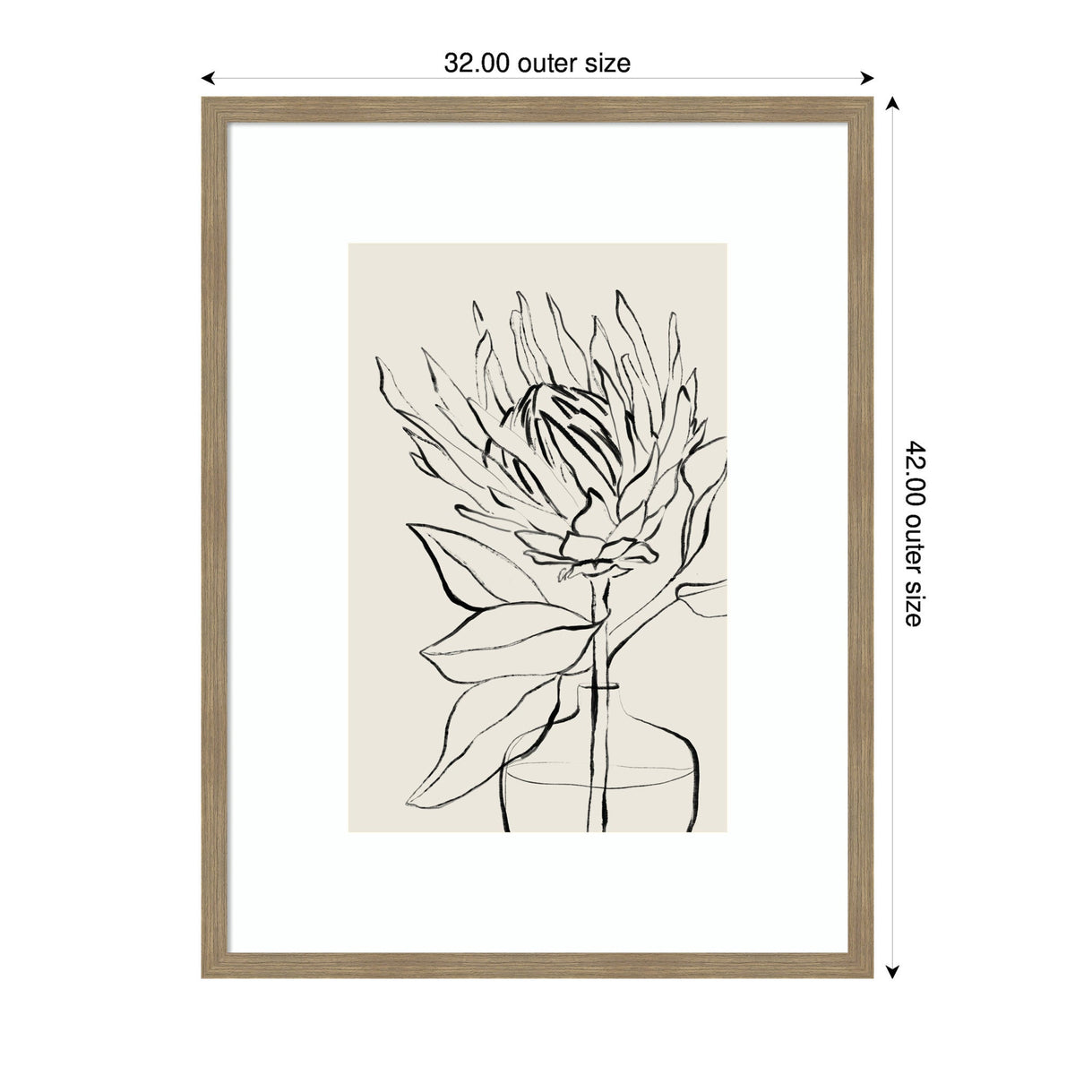Protea No. I Botanical Sketch Framed Wall Art by Sara Berrenson