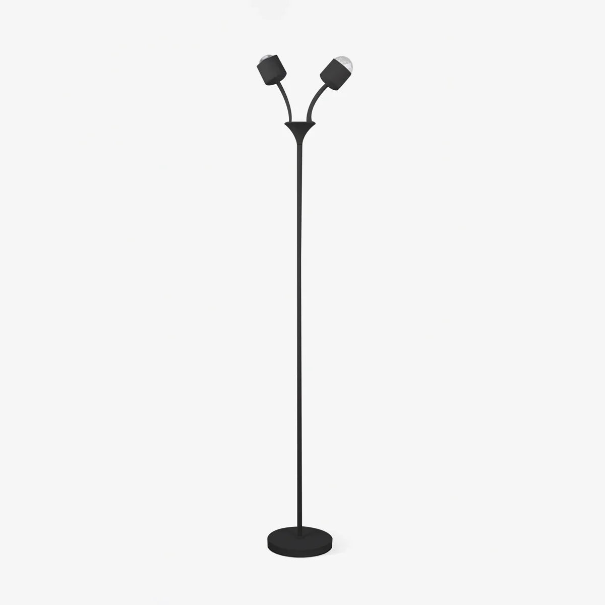 Ambient Floor Lamp