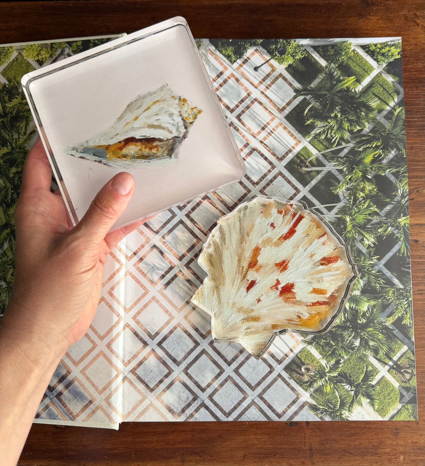 Whelk Acrylic Art Block