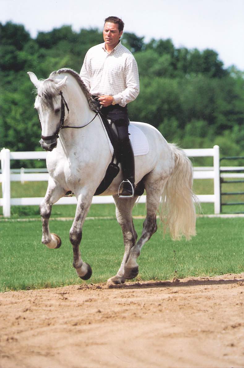 My Horses Have Something to Say by David De Wispelaere