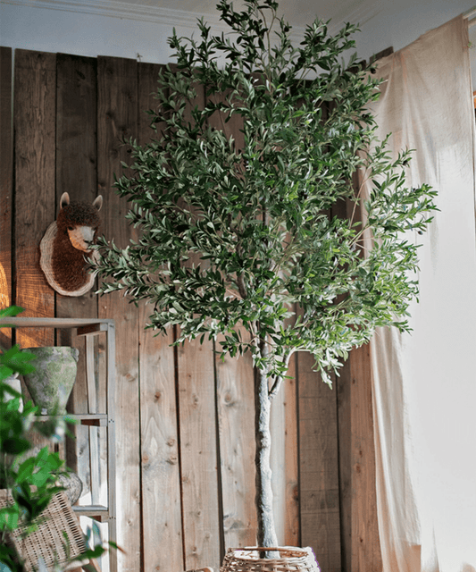 Extra Large Artificial Olive Tree 118" Tall