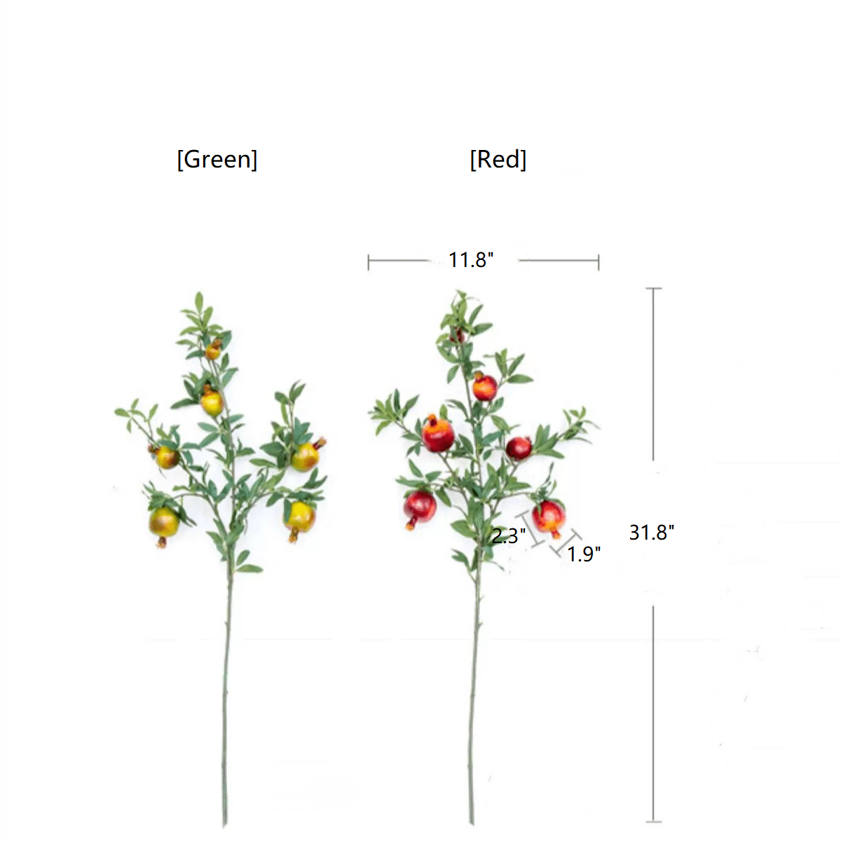 Estate Pomegranate Branch