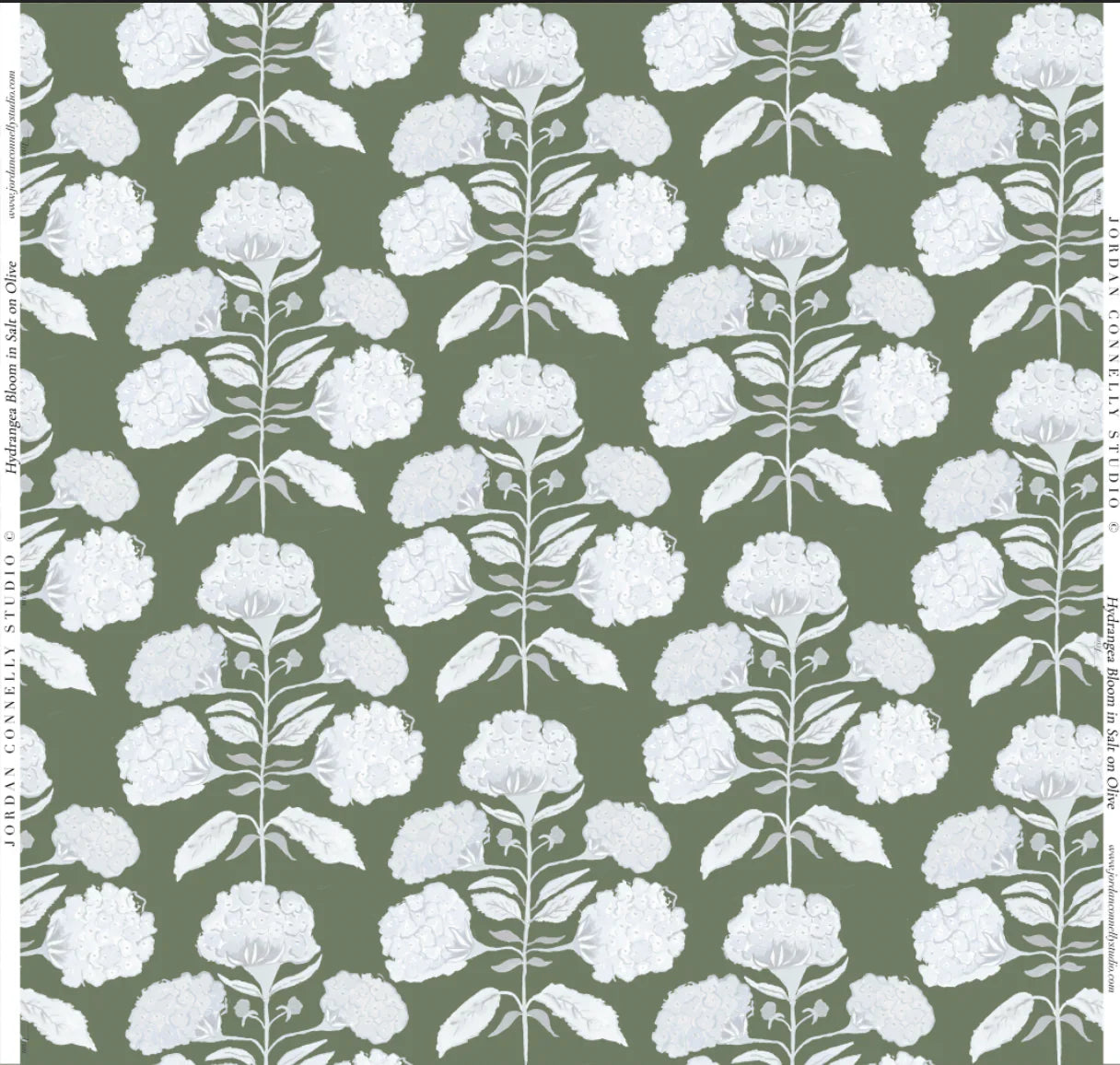 Hydrangea Bloom in Salt on Olive Wallpaper