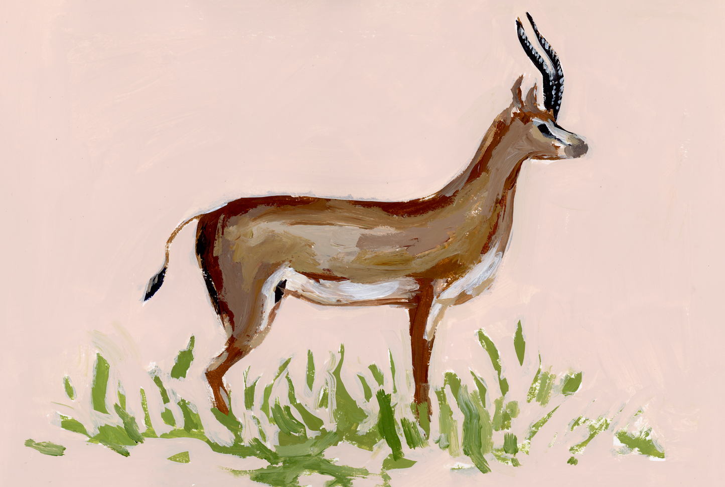 Gazelle PRINT