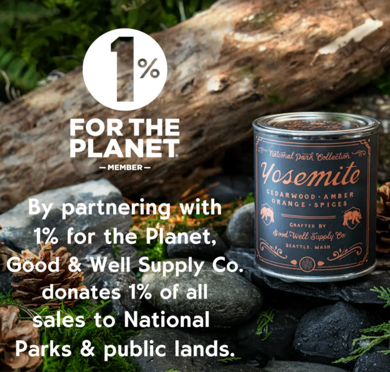 Acadia National Park Luxury Soy Wax Candle, Hostess Housewarming Gift | Good & Well, Bay & Bridle