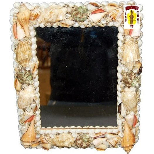 Seashell Mirror 12" x 14"