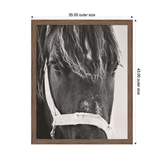 Black Horse by Emiko and Mark Franzen F2 Images Framed Wall Art Print