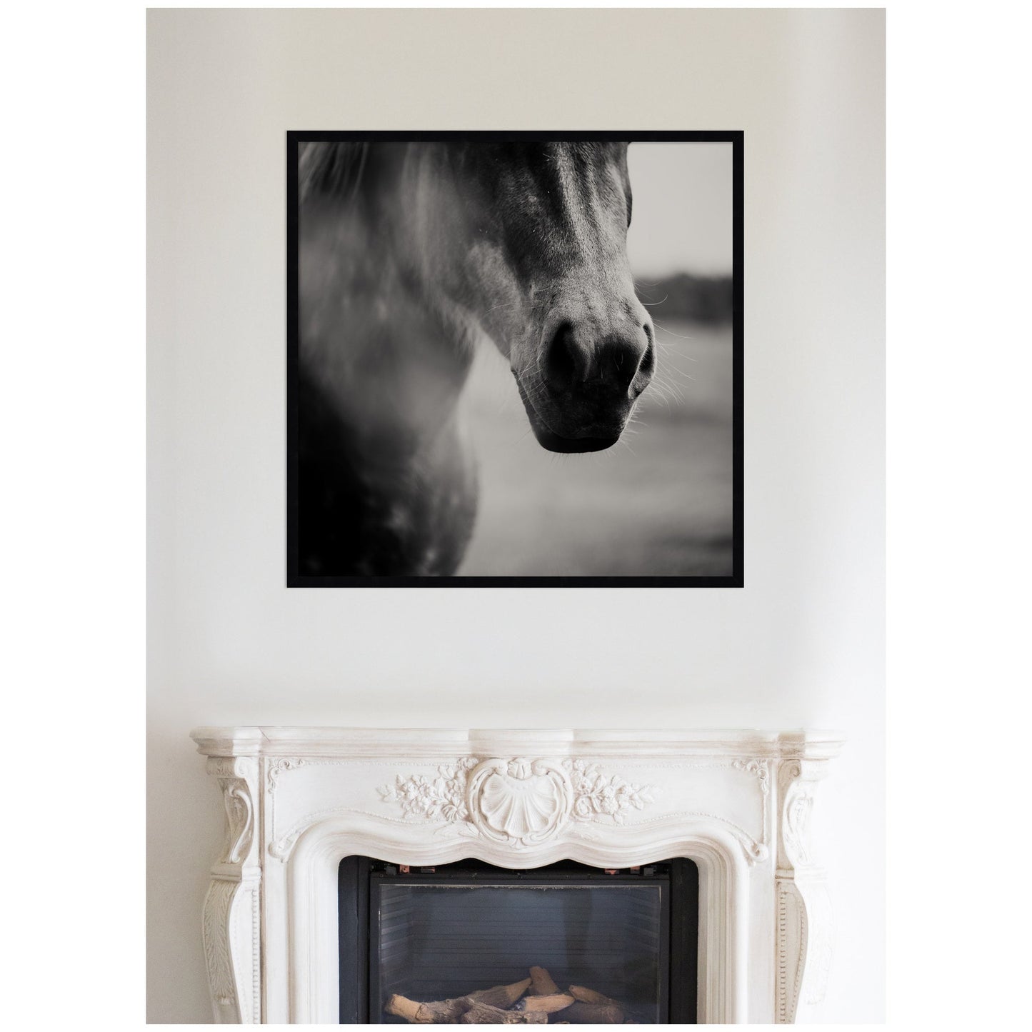 Horse Like Velvet by Laura Evans Framed Wall Art Print