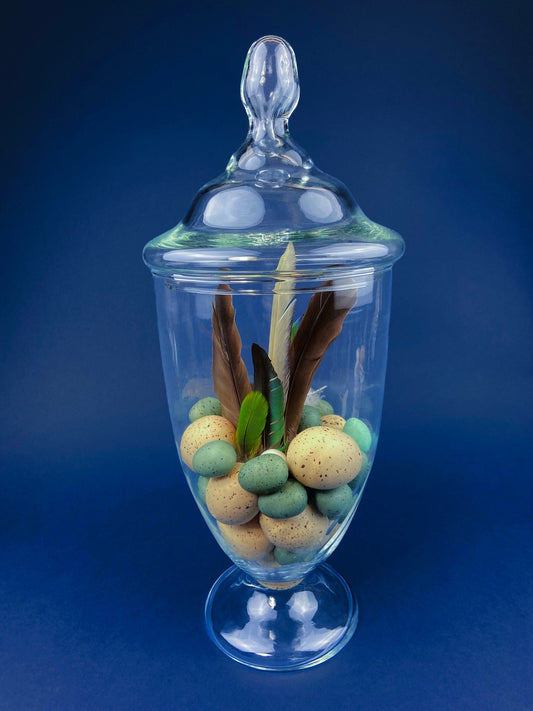 Large Lidded Apothecary with Eggs and Feathers. Alternative Spring/Easter Decor. Footed, Glass Storage Jar. Table Centerpiece. Shabby Chic.