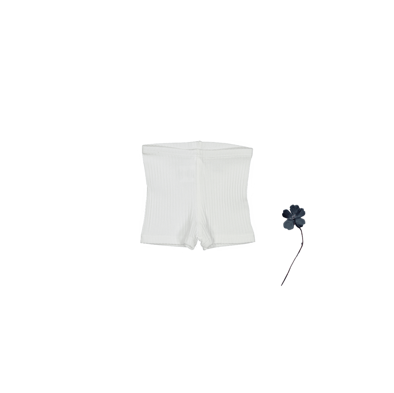 The Short - Bone