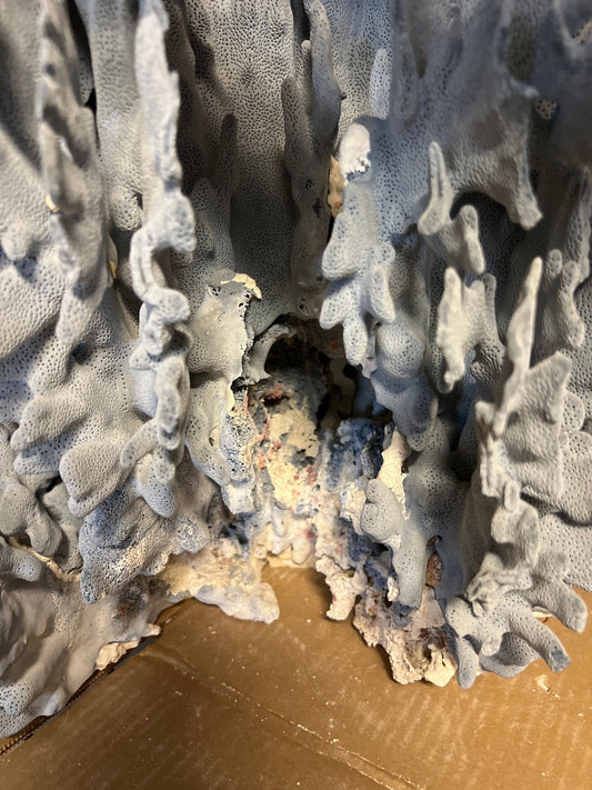 Vintage Blue Ridge Coral- 19"