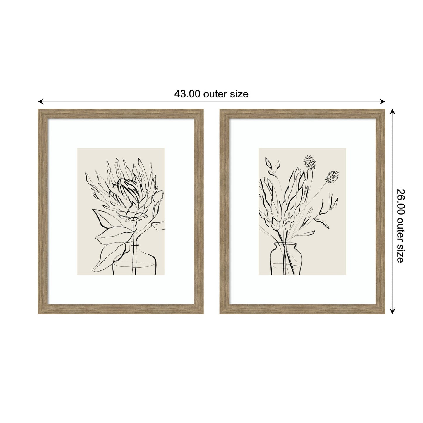 SB Protea Sketch No. 1 & No. 2 2 Piece Framed Wall Art Print Set by Sara Berrenson