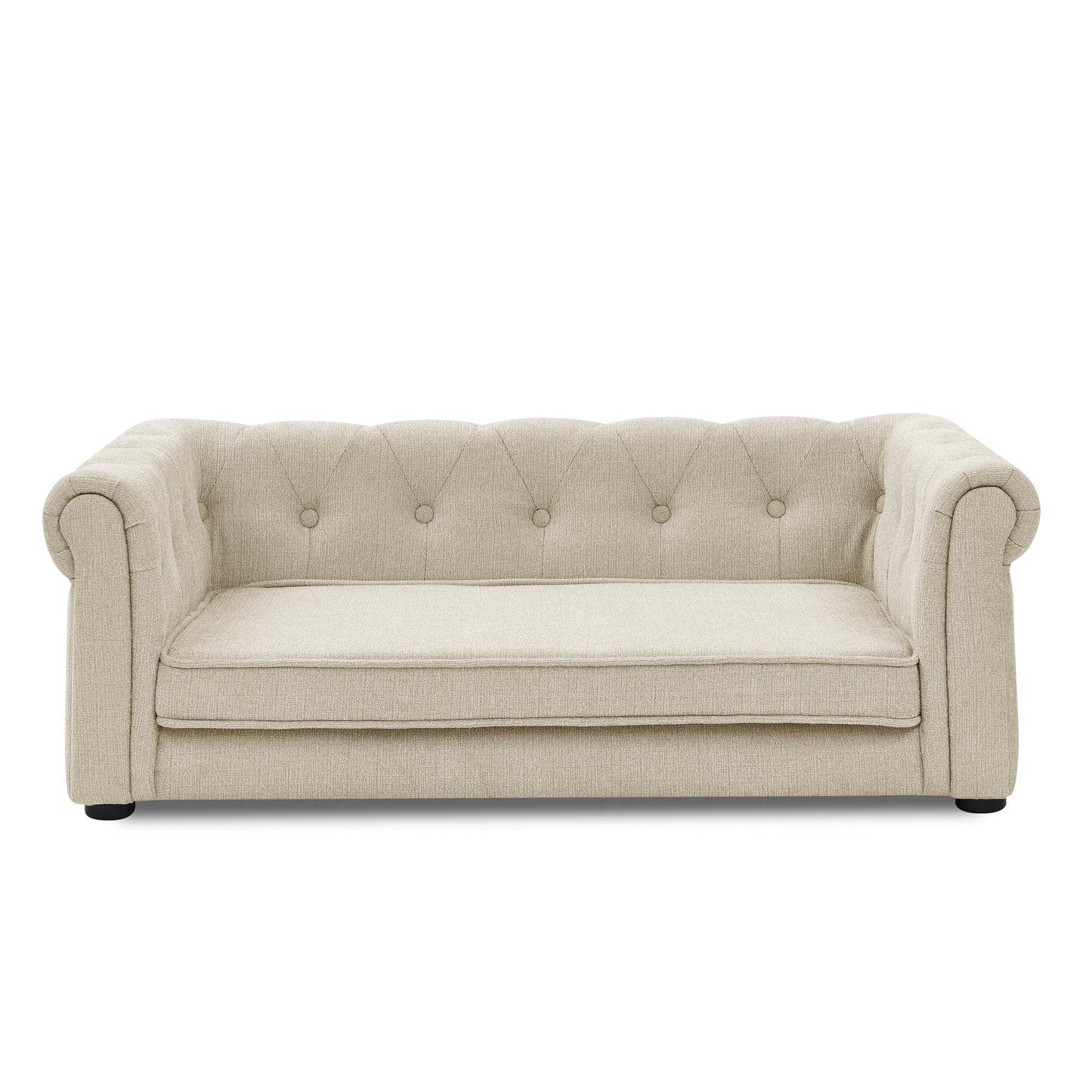 Modern Elegant Rectangle Elevated Pet Bed