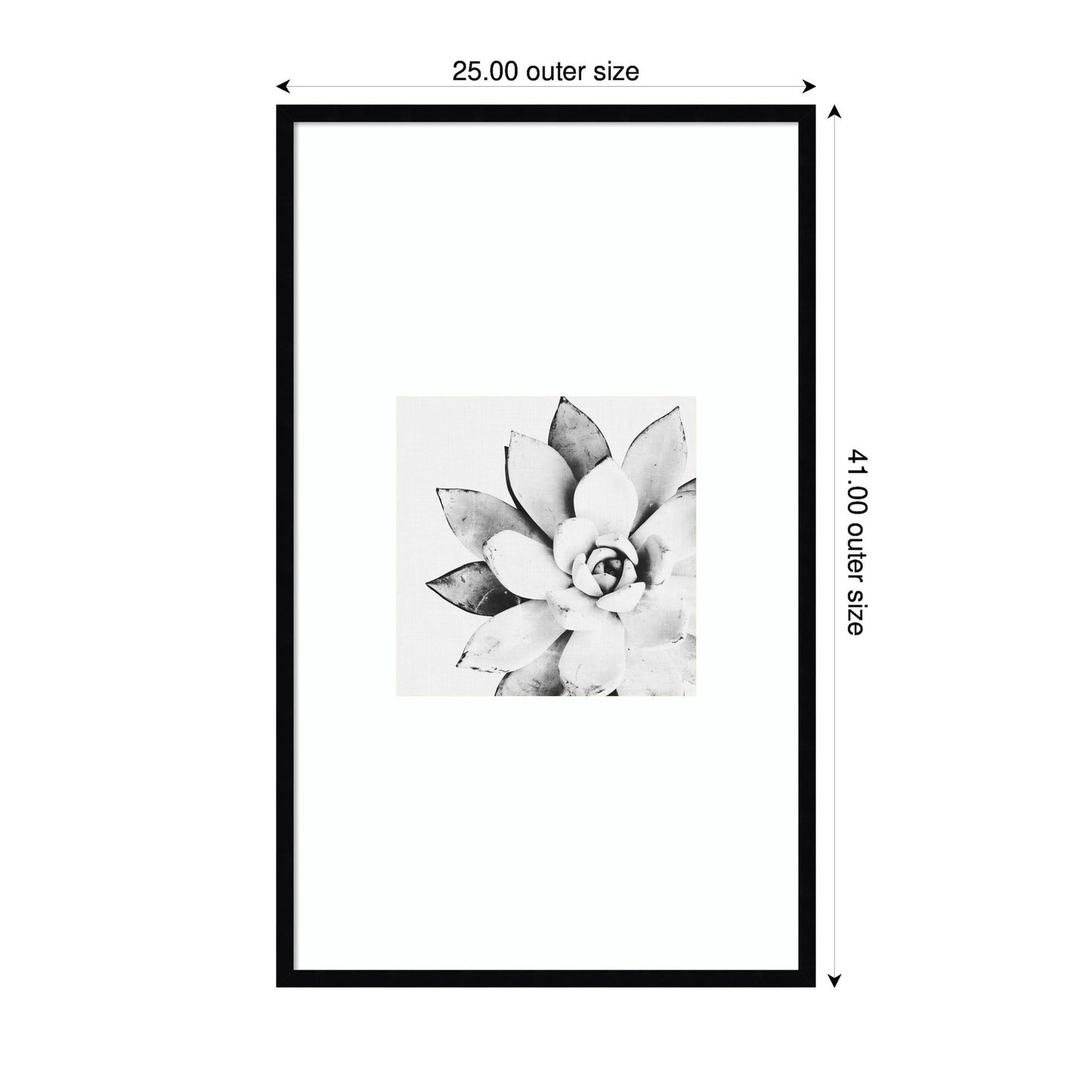 Modern Succulent by Tai Prints Framed Wall Art Print