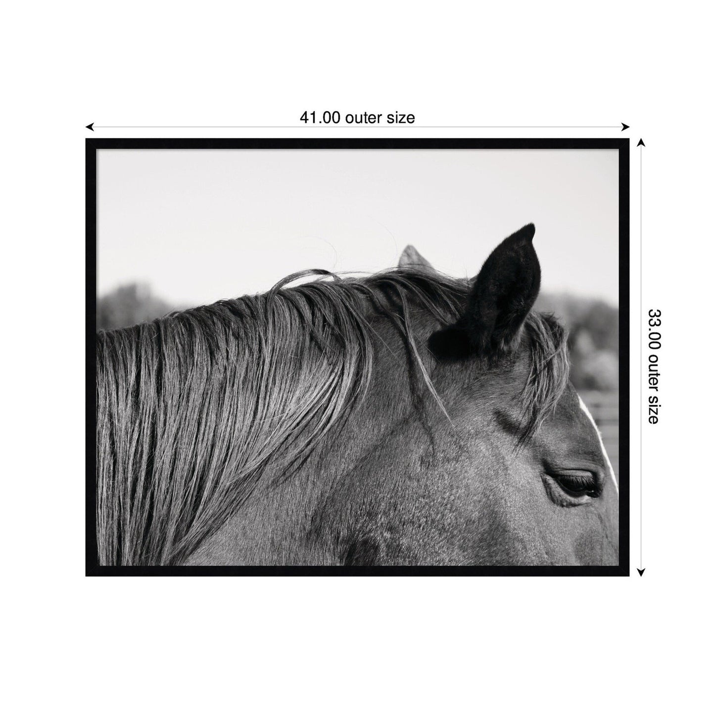 Auburn by Alicia Bock Framed Wall Art Print