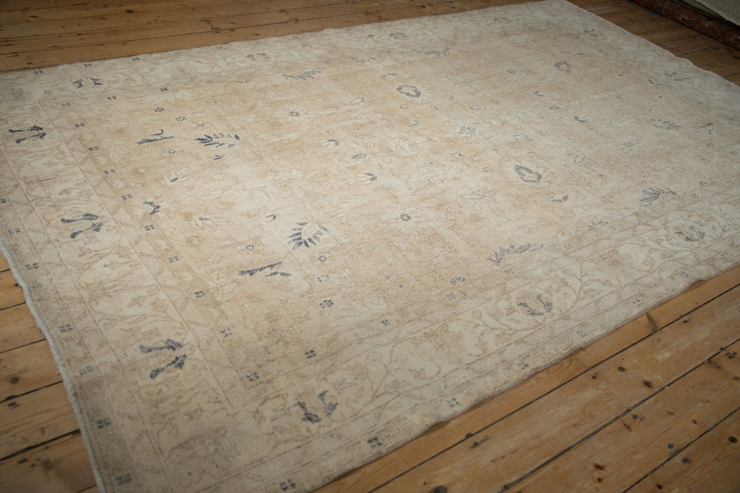 6.5x10.5 Vintage Distressed Sparta Carpet