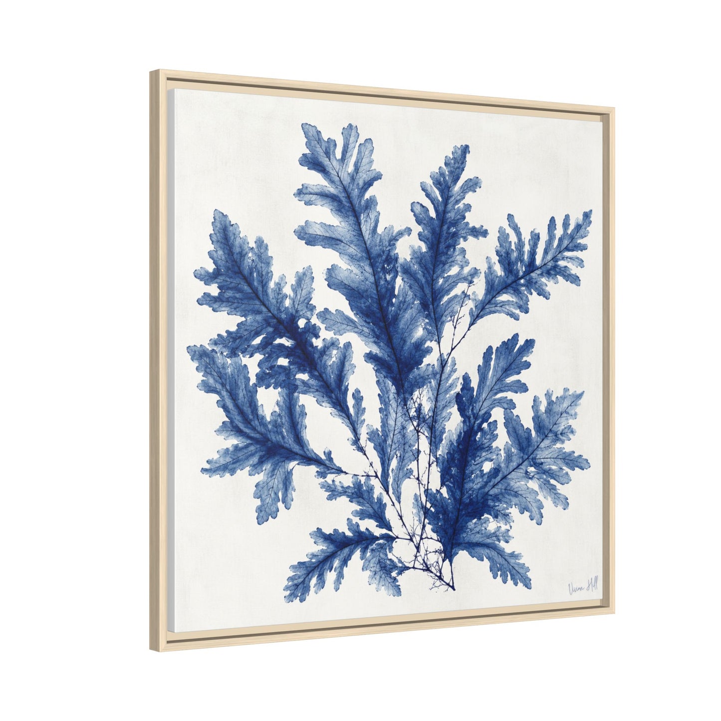Blue Fern Botanical Framed Original Print on Canvas 30"x30" | Delicate Navy Coastal Seaweed Study | Vivian Hill, Bay & Bridle