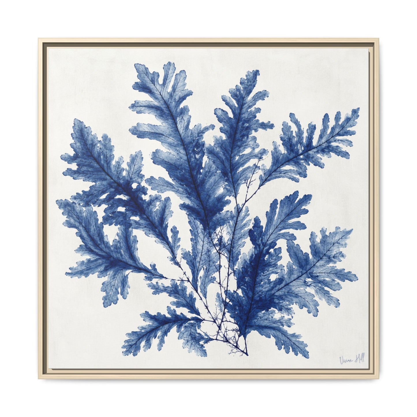 Blue Fern Botanical Framed Original Print on Canvas 30"x30" | Delicate Navy Coastal Seaweed Study | Vivian Hill, Bay & Bridle