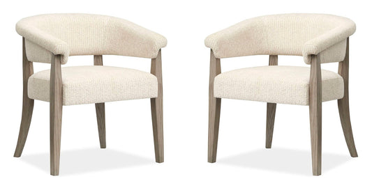 Braelyn - Upholstered Host Chair (Set of 2) - Dorian Gray