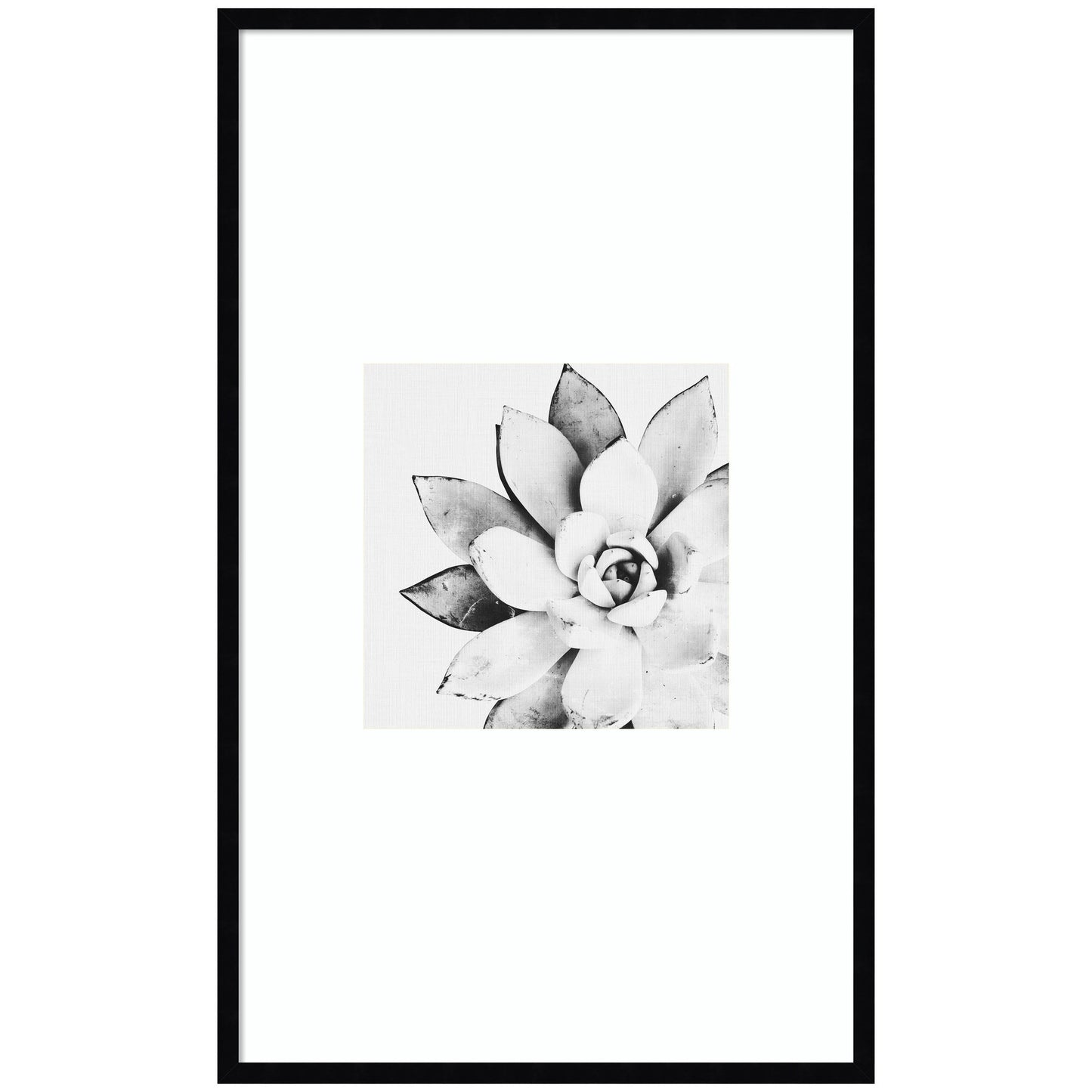 Modern Succulent by Tai Prints Framed Wall Art Print