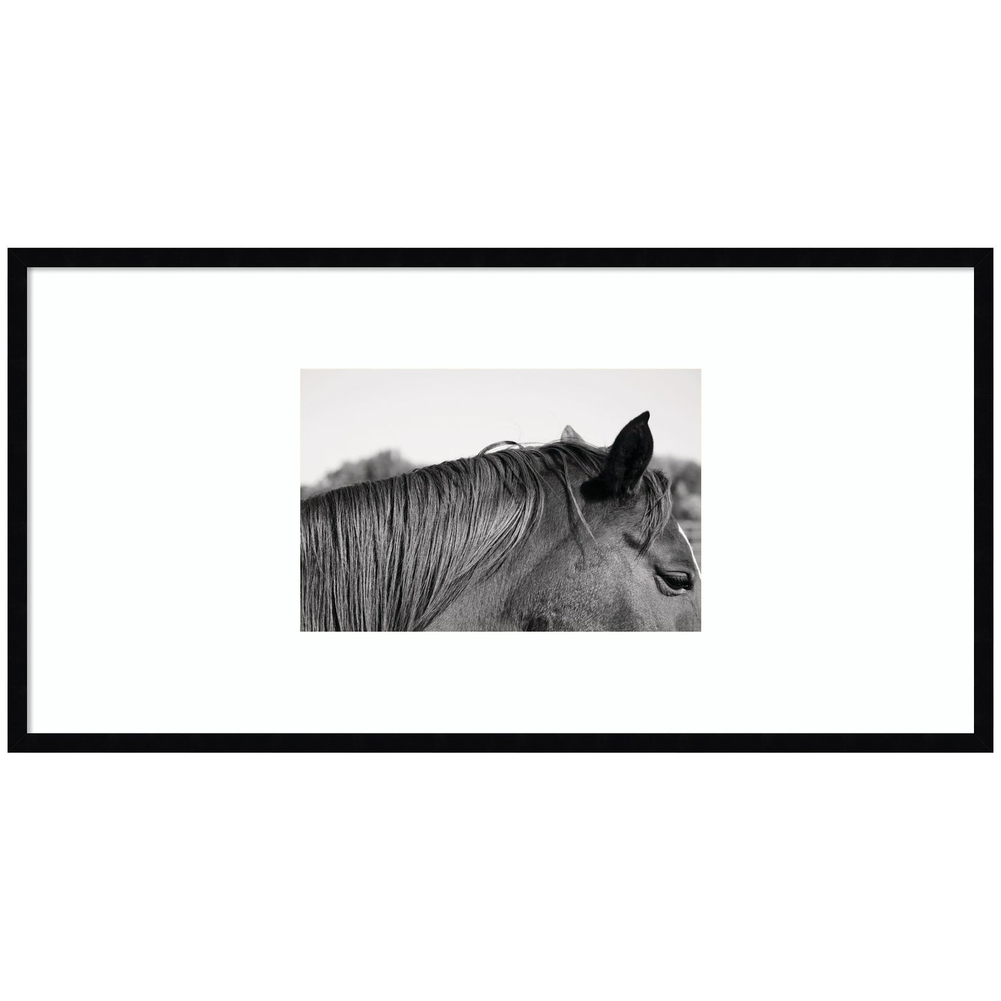 Auburn by Alicia Bock Framed Wall Art Print
