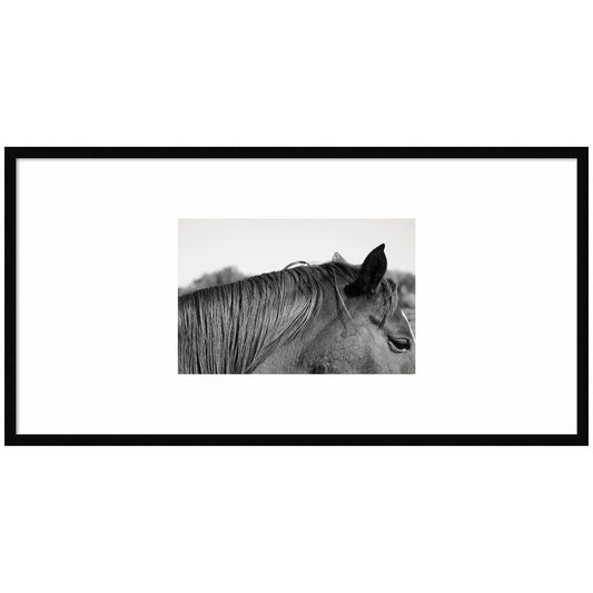 Auburn by Alicia Bock Framed Wall Art Print