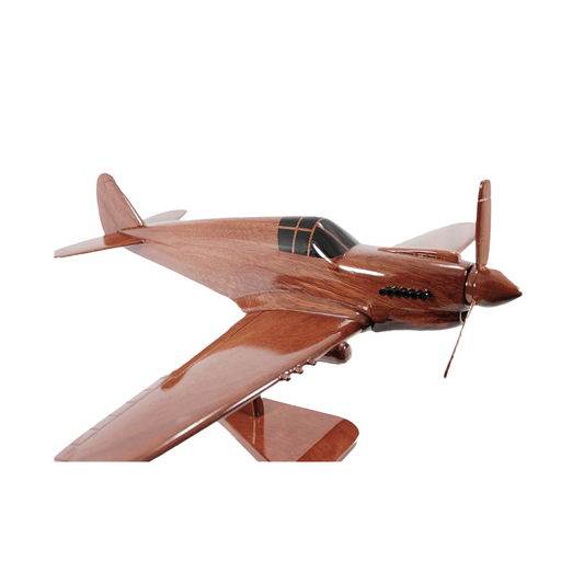 P-40 ( P40 ) Warhawk