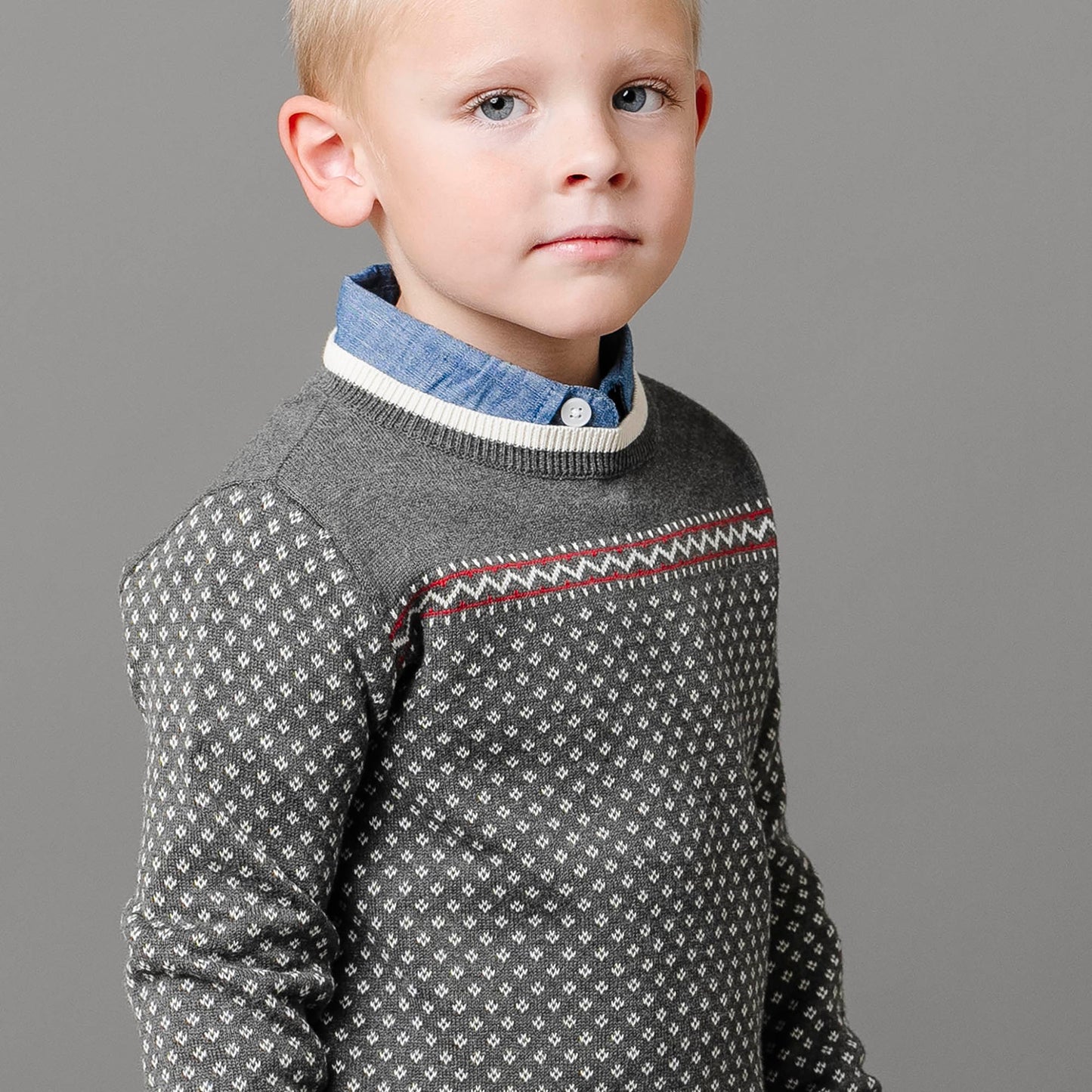 Organic Cotton Intarsia Crew Neck Sweater