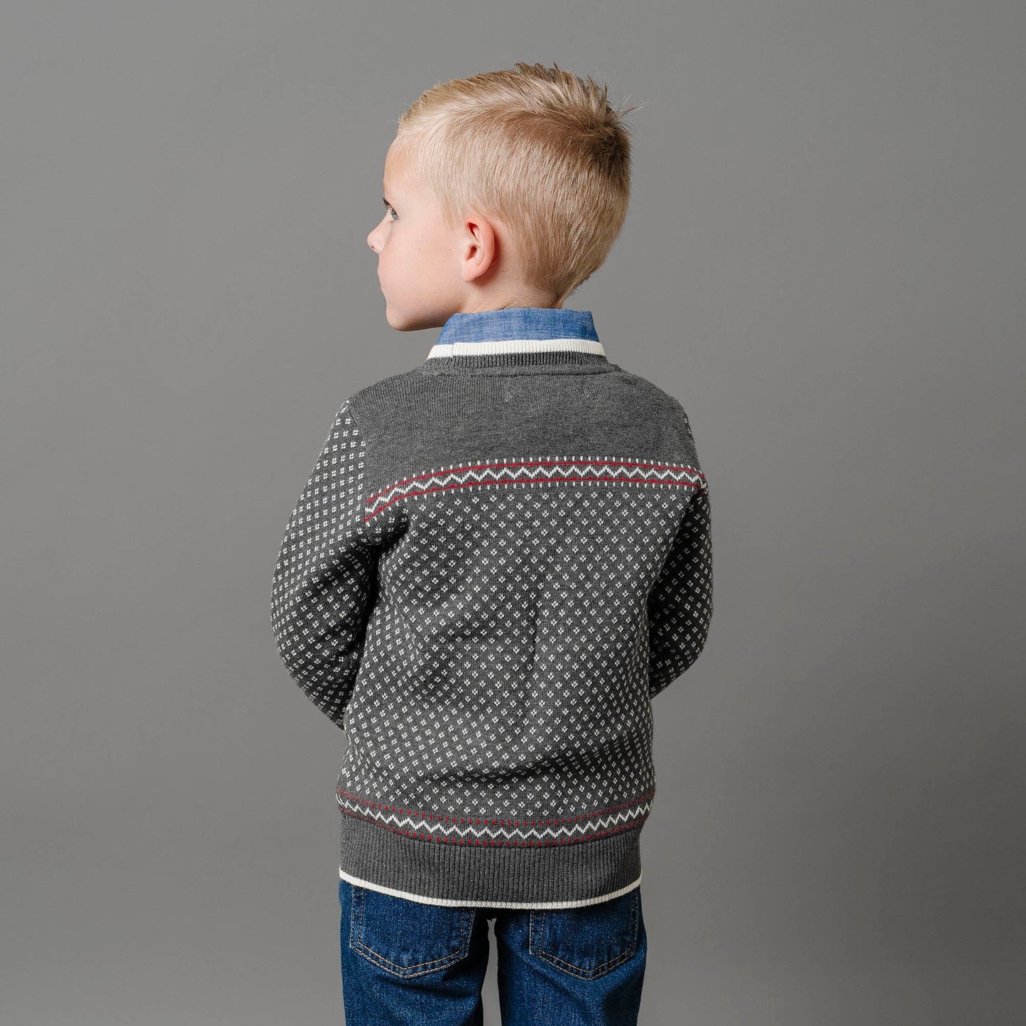 Organic Cotton Intarsia Crew Neck Sweater