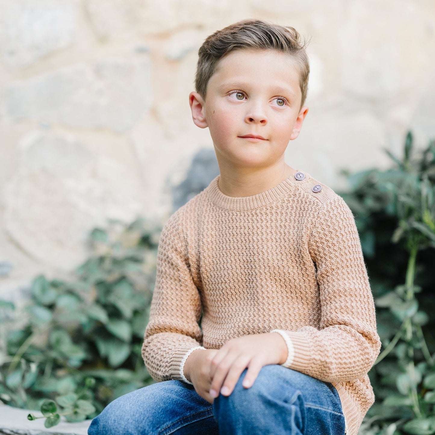 Organic Cotton Neutral Tan Crewneck Sweater with Buttons