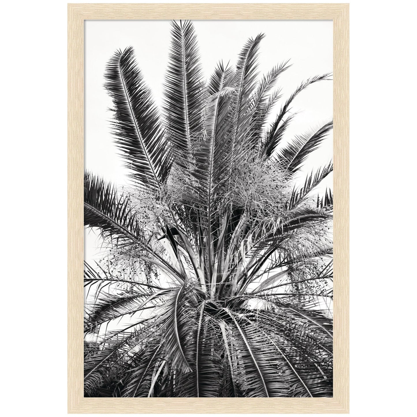 No 15 by Alicia Bock Framed Wall Art Print