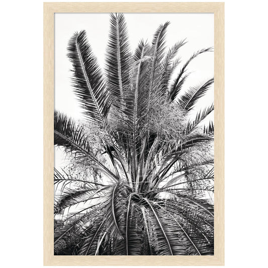 No 15 by Alicia Bock Framed Wall Art Print