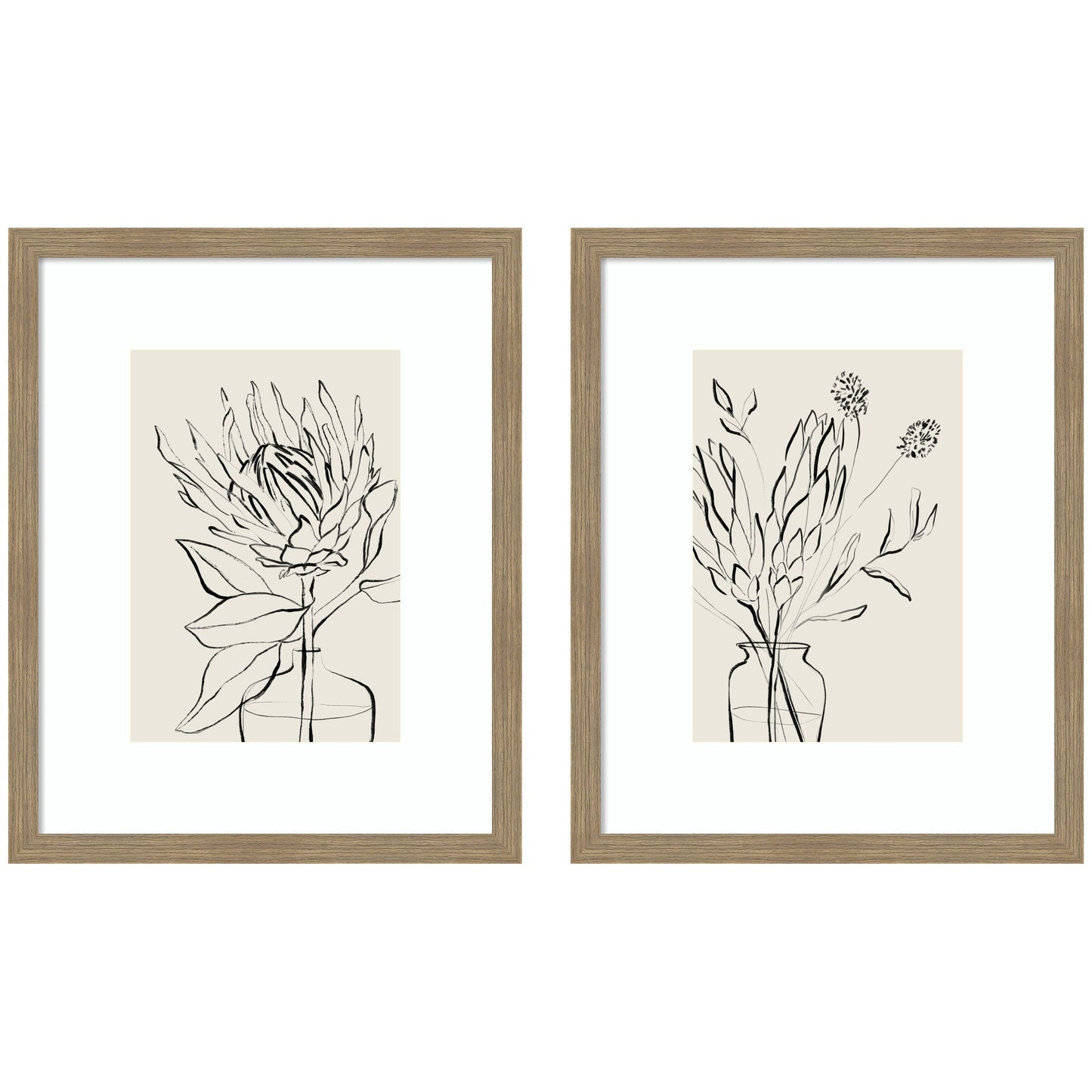 SB Protea Sketch No. 1 & No. 2 2 Piece Framed Wall Art Print Set by Sara Berrenson
