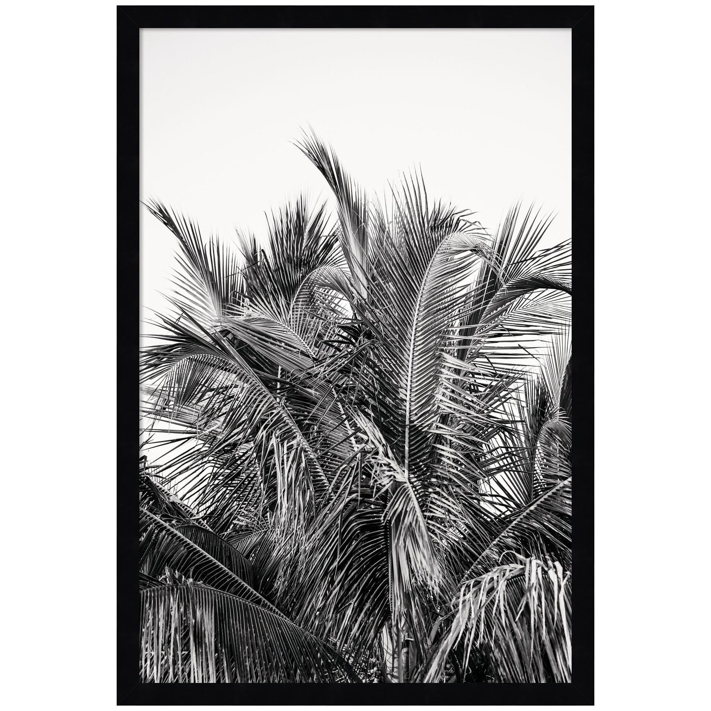 No 13 by Alicia Bock Framed Wall Art Print