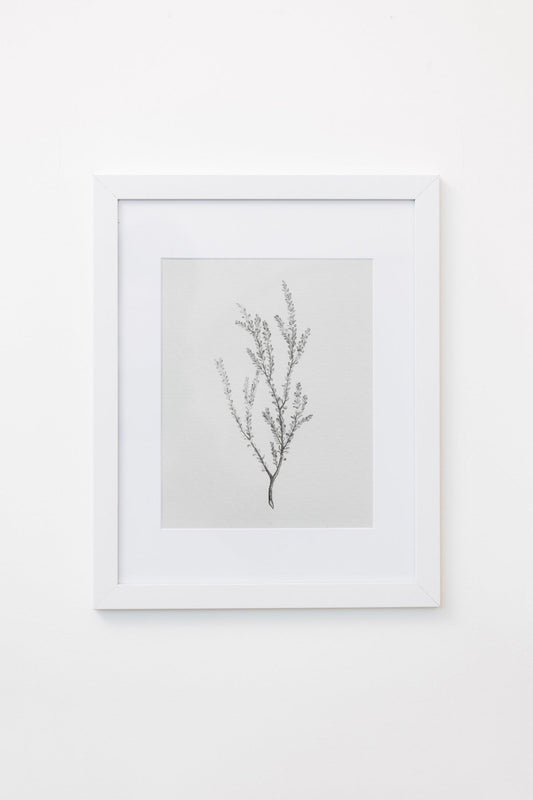 Enid Wall Art