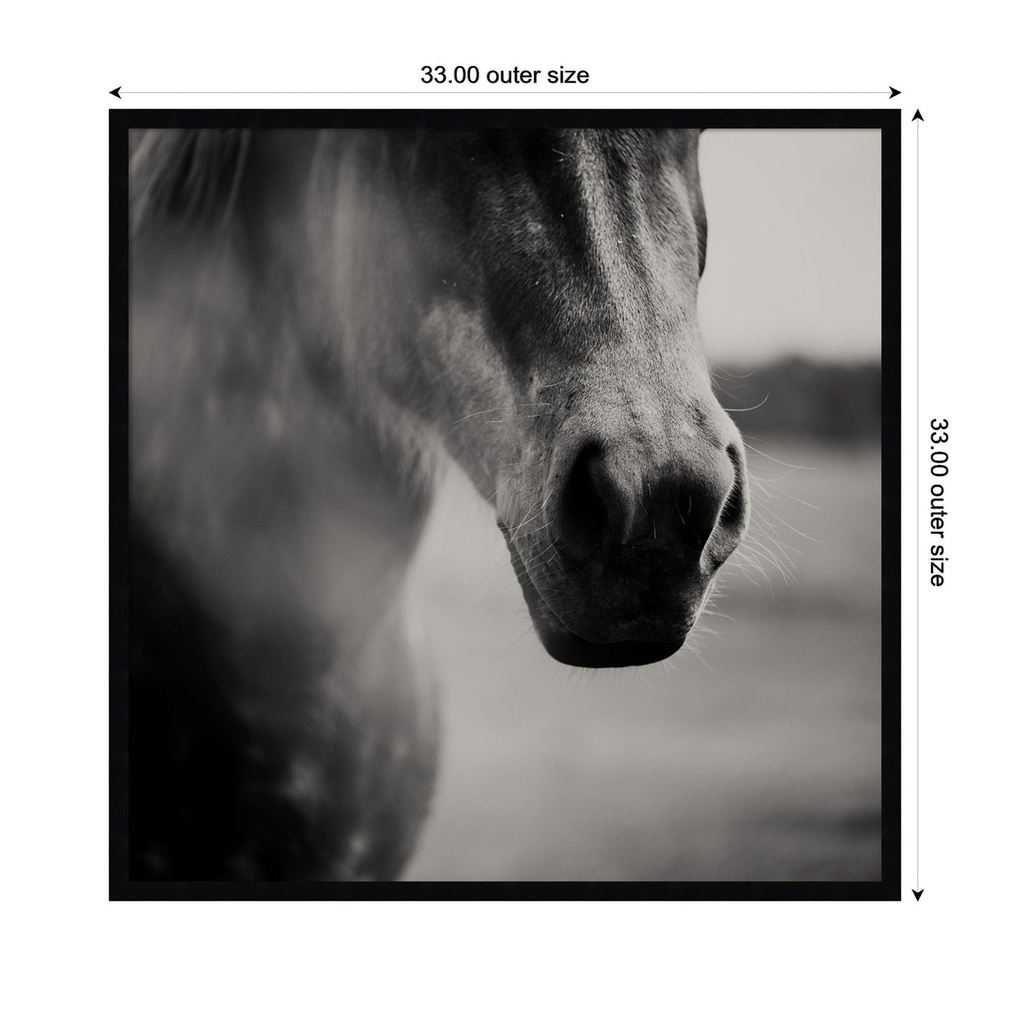 Horse Like Velvet by Laura Evans Framed Wall Art Print