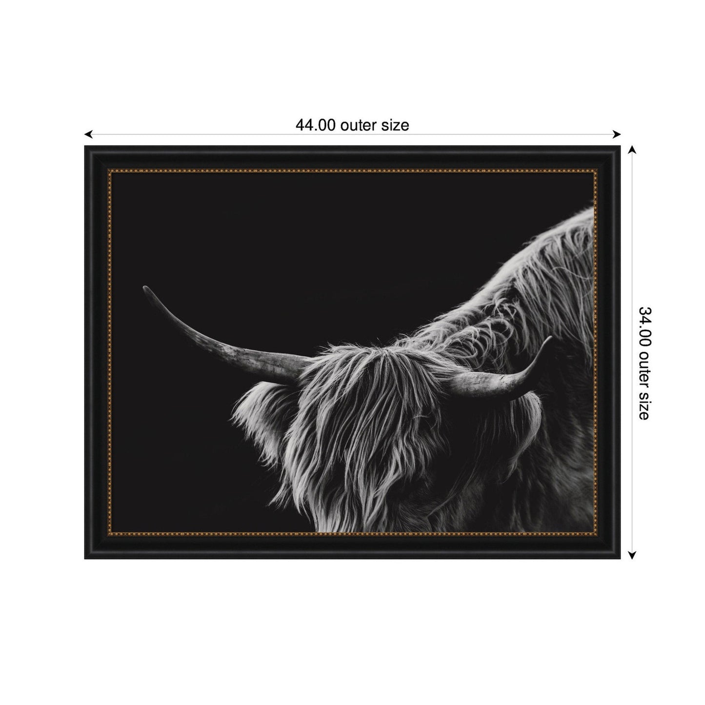 Scottish Highland No. 6 by Crystal Lynn Collins Framed Wall Art Print