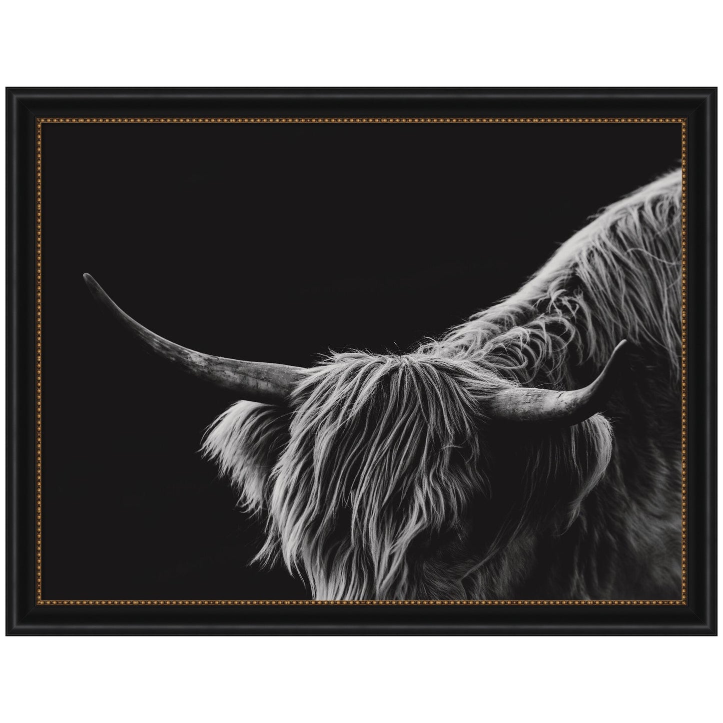 Scottish Highland No. 6 by Crystal Lynn Collins Framed Wall Art Print