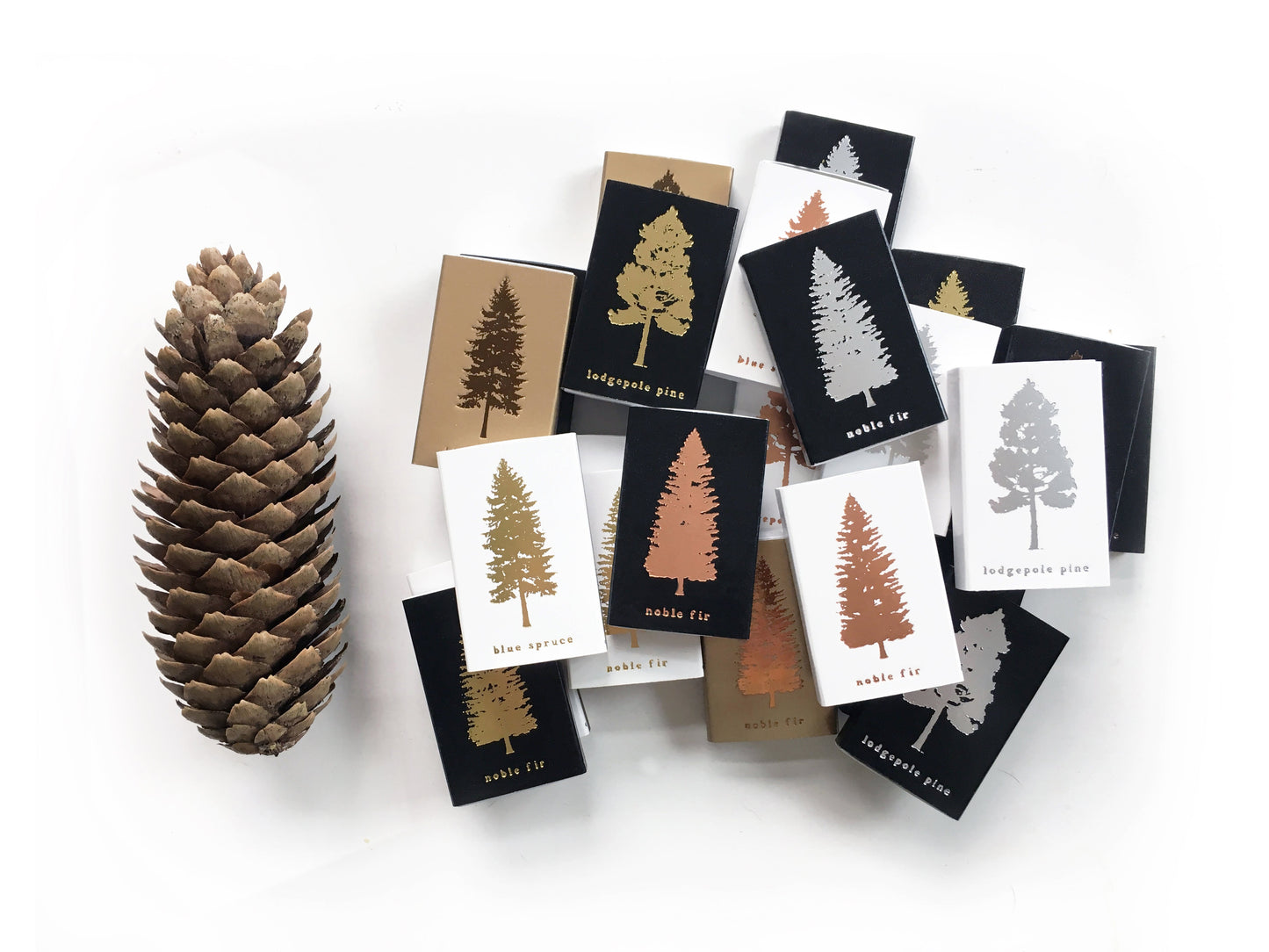 Noble Fir Tree Matchbox