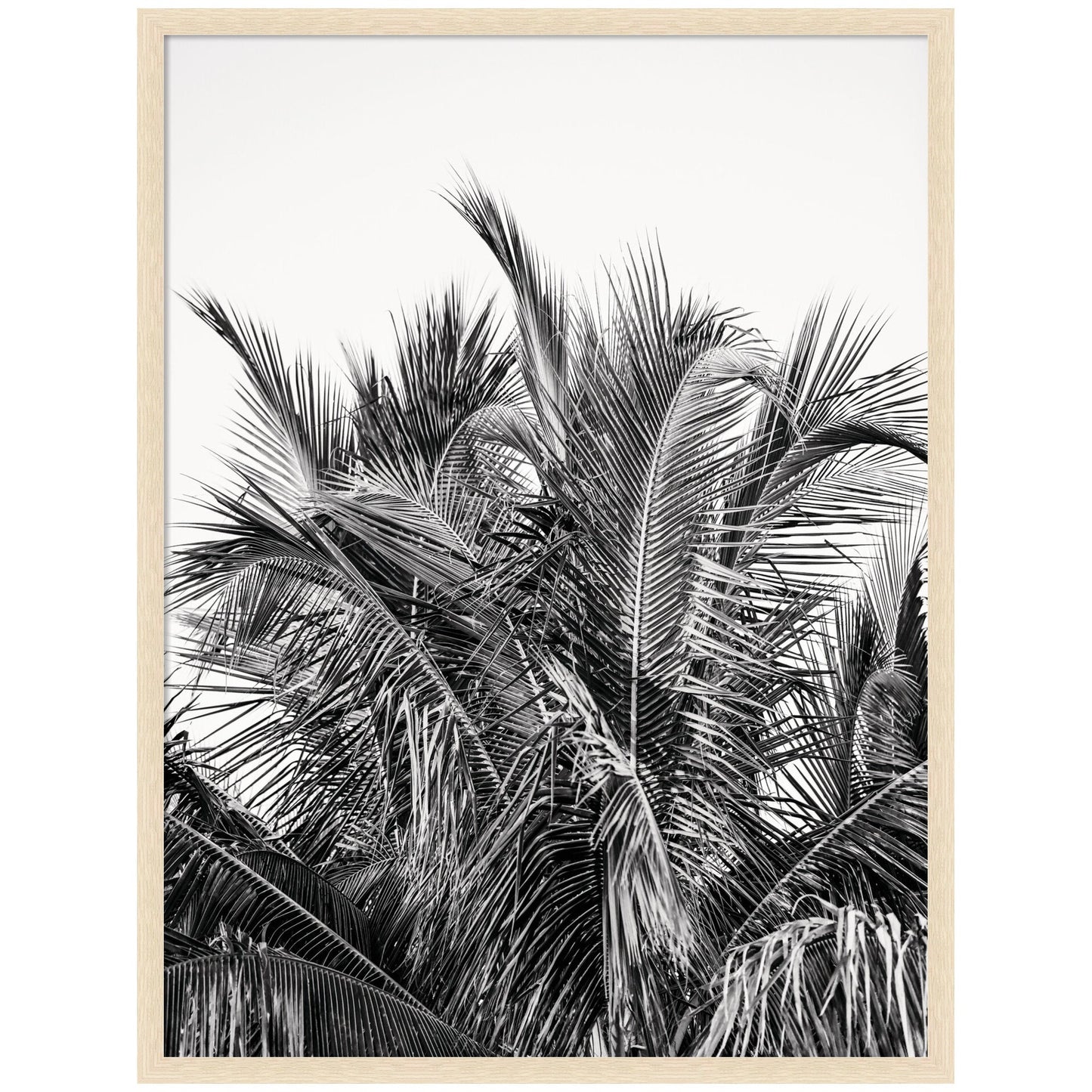No 13 by Alicia Bock Framed Wall Art Print