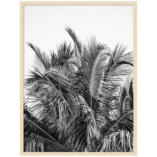 No 13 by Alicia Bock Framed Wall Art Print