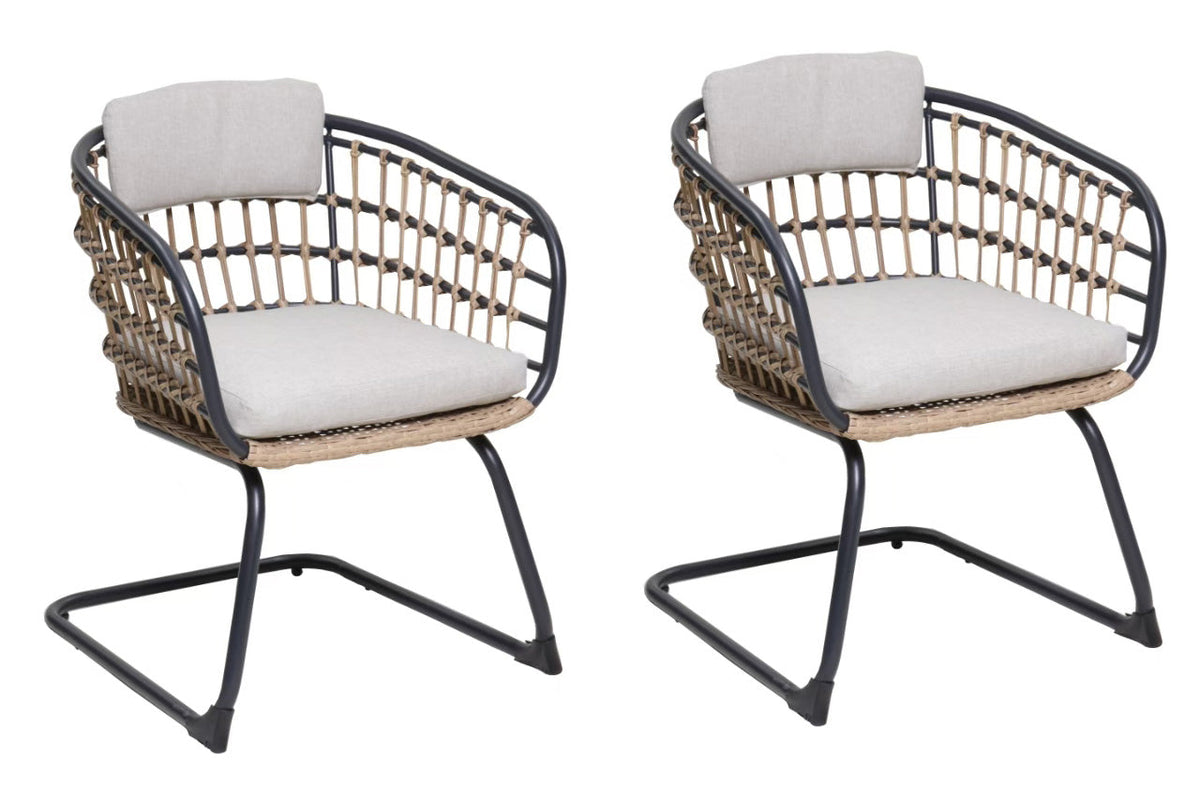 The Garden Room Woven Dining Chairs — Set of Two