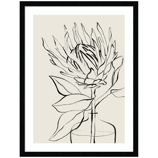 SB Protea Sketch No. 1 by Sara Berrenson Framed Wall Art Print
