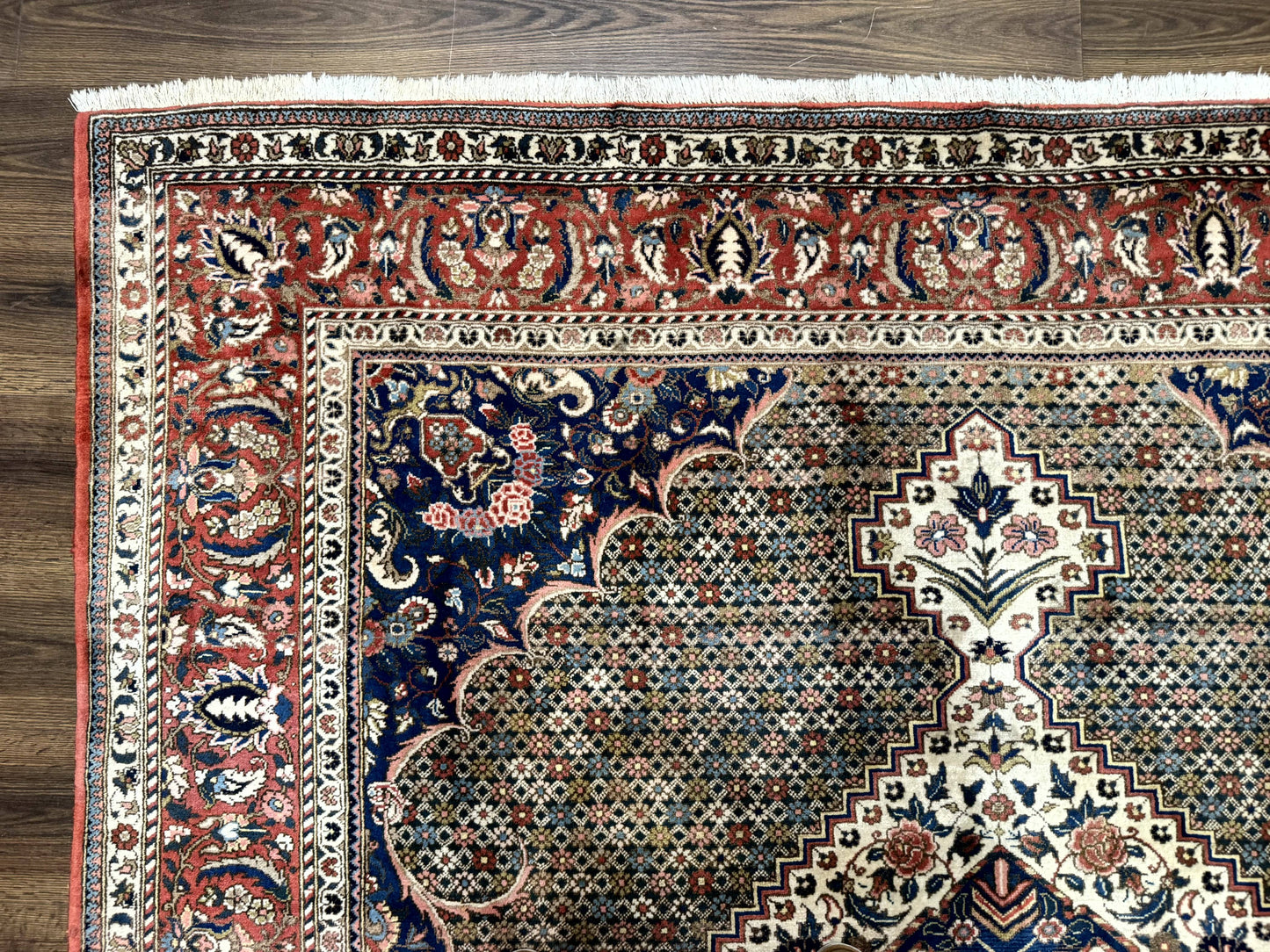 Persian Rug 7x10, Bakhtiari Saman Rug, Unique Design and Colors, Ivory Red Blue, Large Tribal Rug