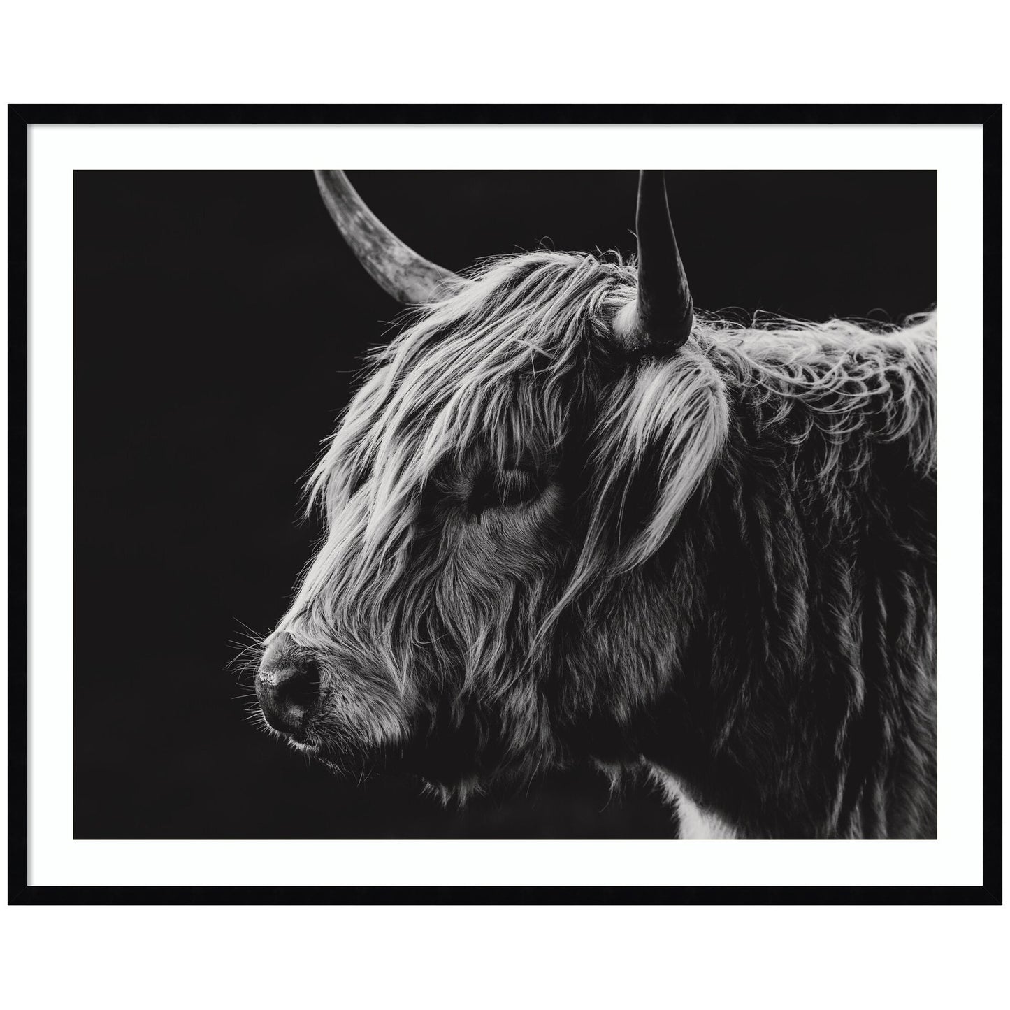 Scottish Highland by Crystal Lynn Collins Framed Wall Art Print