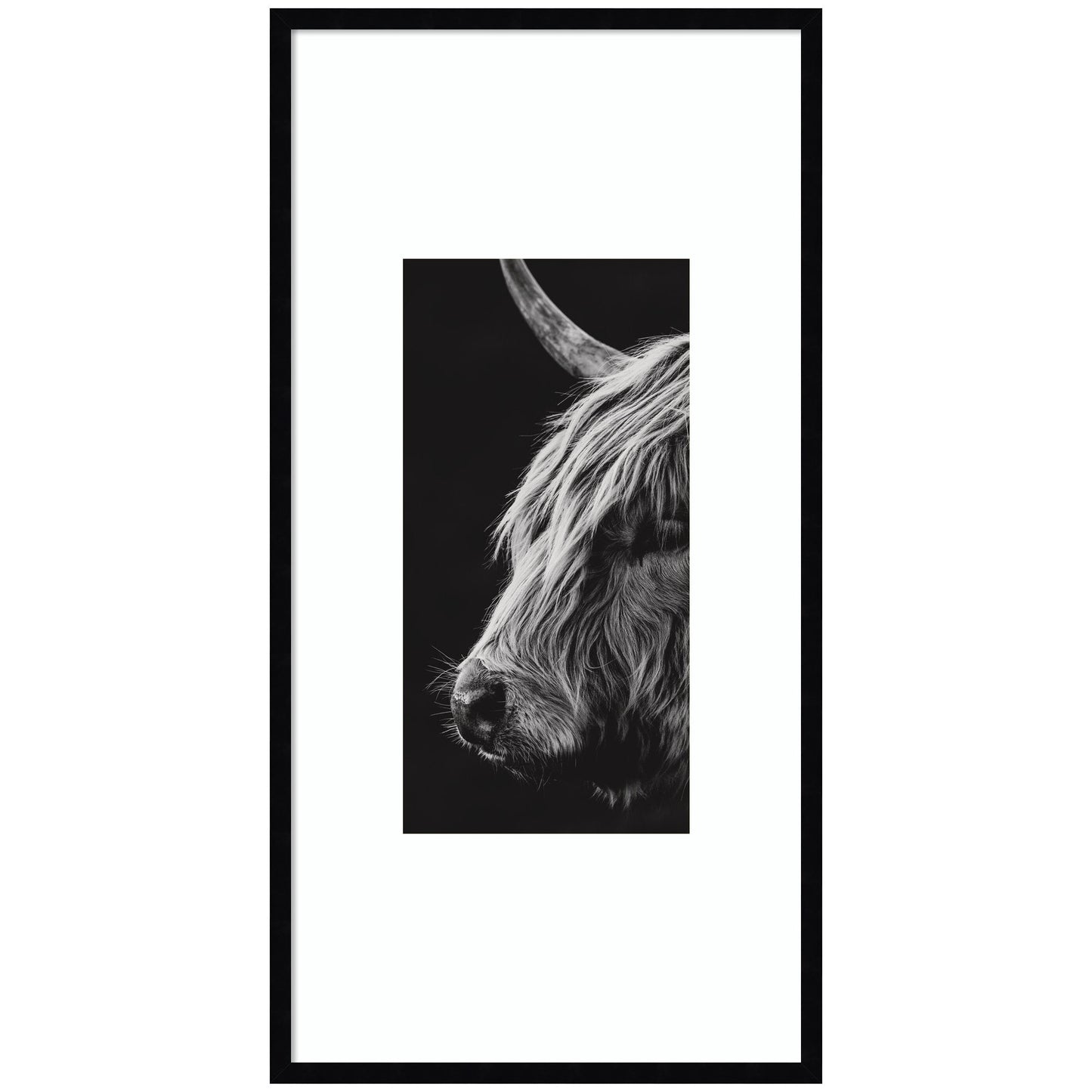 Scottish Highland by Crystal Lynn Collins Framed Wall Art Print