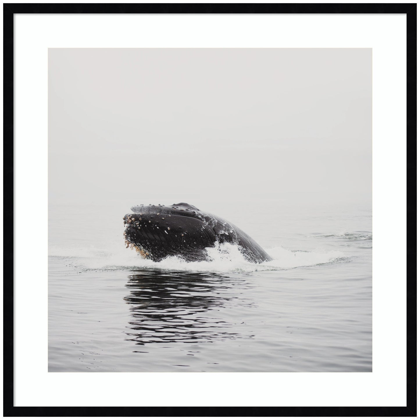 Humpback Whale No. 4 by Laura Evans Framed Wall Art Print