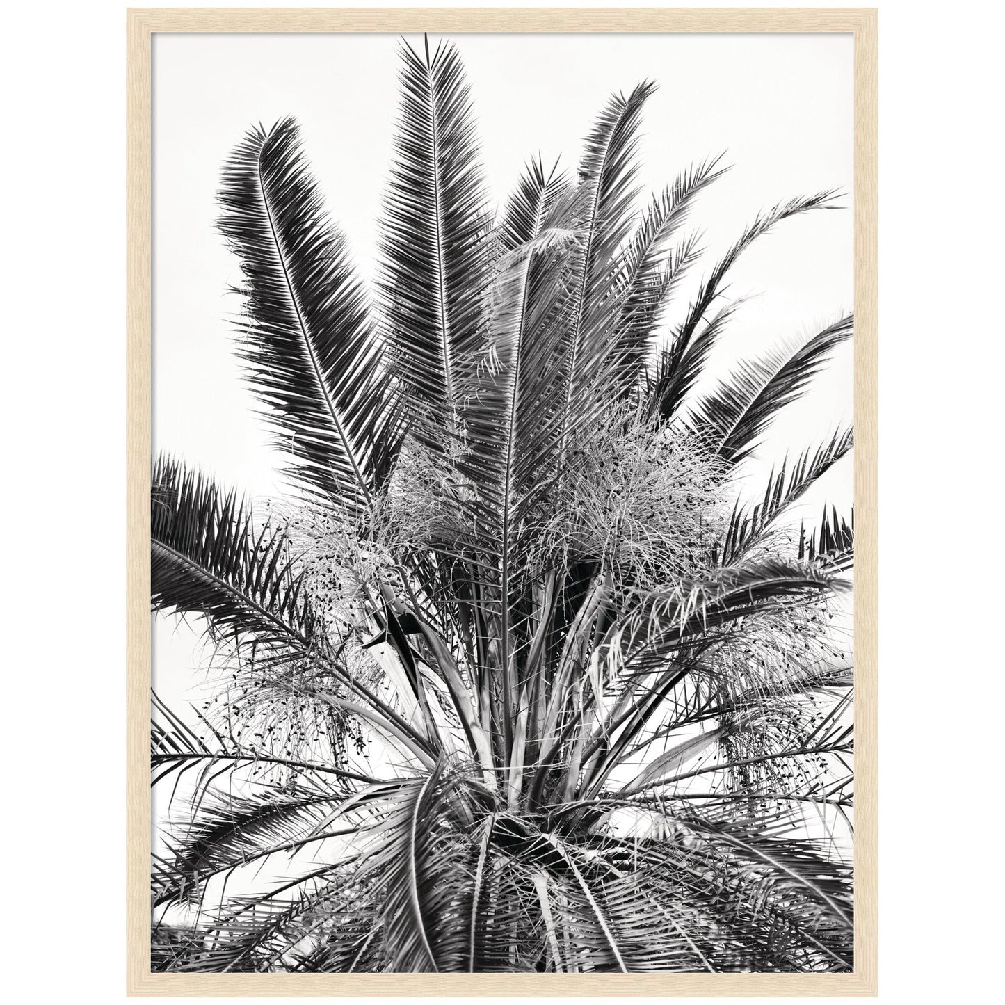No 15 by Alicia Bock Framed Wall Art Print